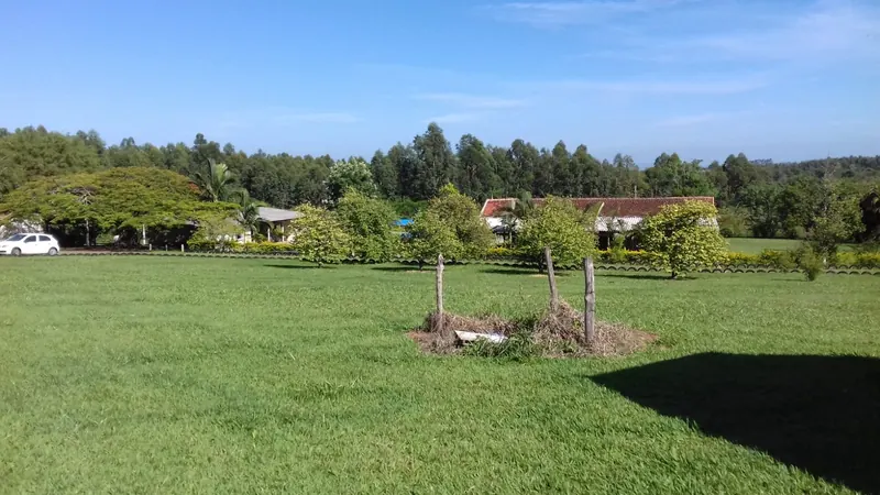 Sítio Picus